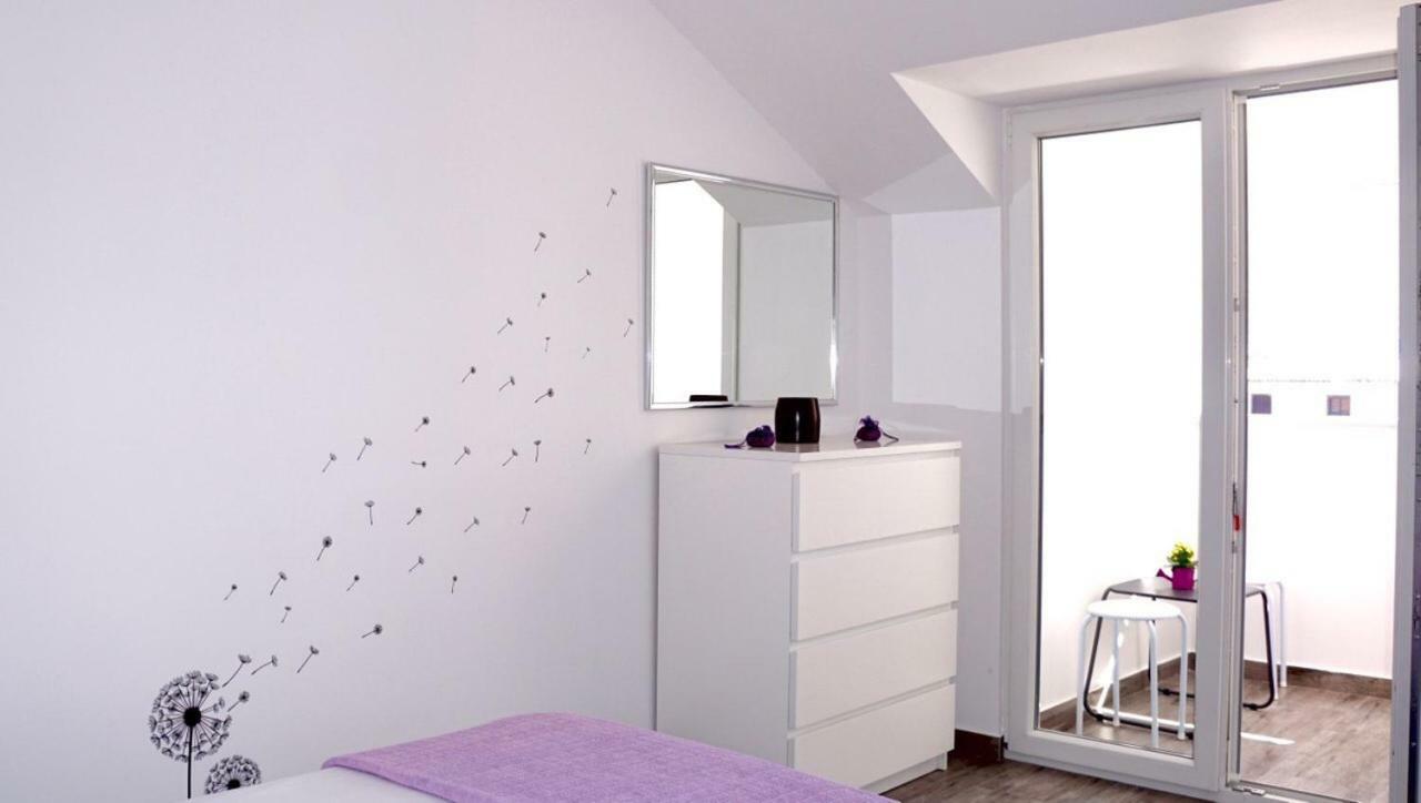 טרוגיר Apartman Zora מראה חיצוני תמונה